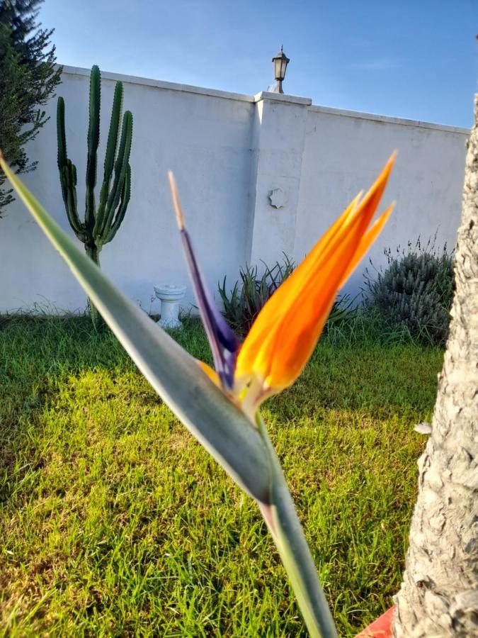 Alojamientos Rurales Inma Conil De La Frontera Bagian luar foto