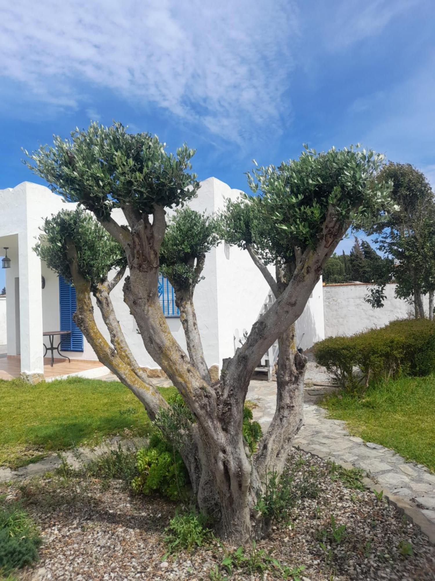 Alojamientos Rurales Inma Conil De La Frontera Bagian luar foto